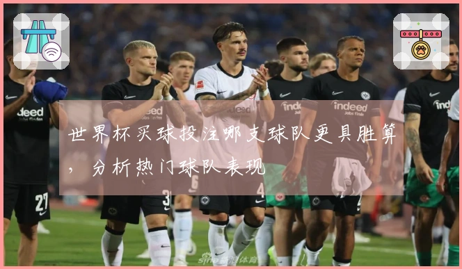 世界杯买球投注哪支球队更具胜算，分析热门球队表现