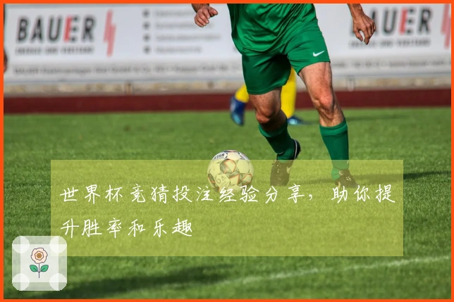 世界杯竞猜投注经验分享，助你提升胜率和乐趣