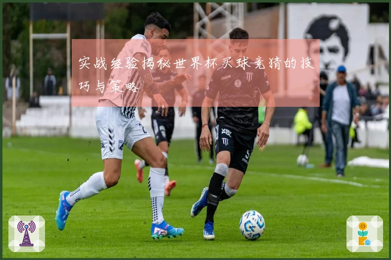 实战经验揭秘世界杯买球竞猜的技巧与策略