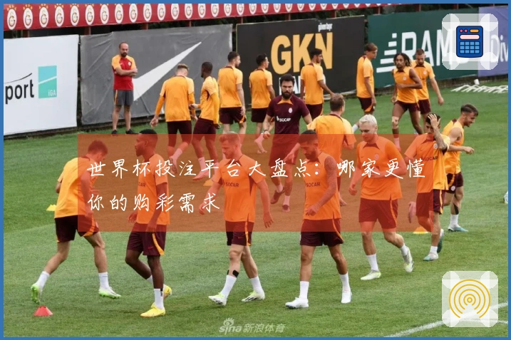 世界杯投注平台大盘点：哪家更懂你的购彩需求