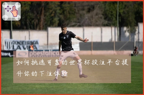 如何挑选可靠的世界杯投注平台提升你的下注体验
