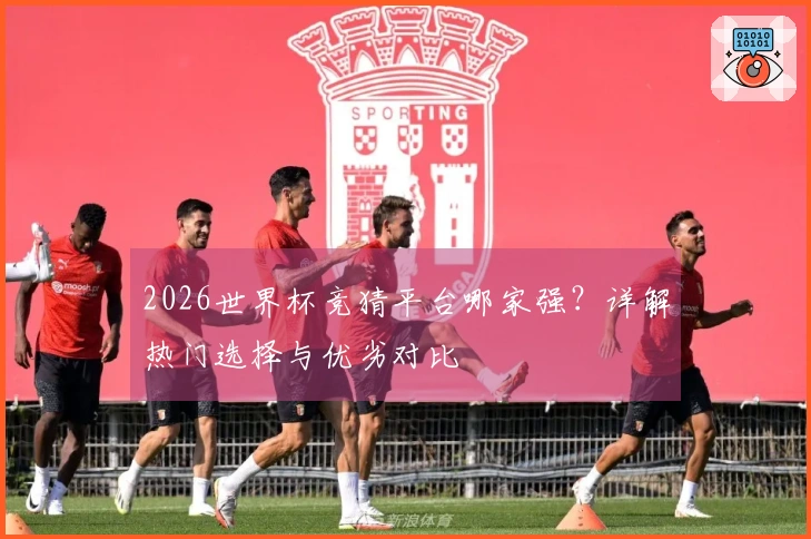 2026世界杯竞猜平台哪家强？详解热门选择与优劣对比