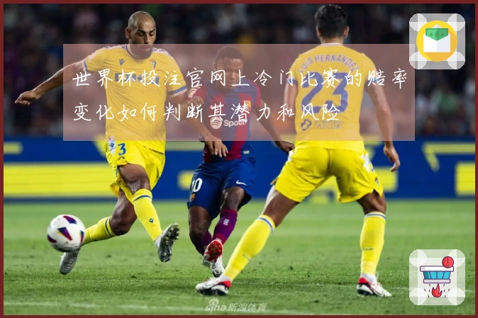 世界杯投注官网上冷门比赛的赔率变化如何判断其潜力和风险