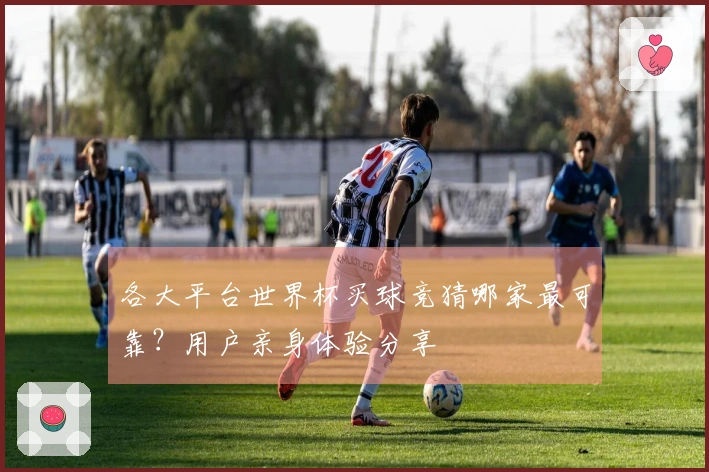 各大平台世界杯买球竞猜哪家最可靠？用户亲身体验分享