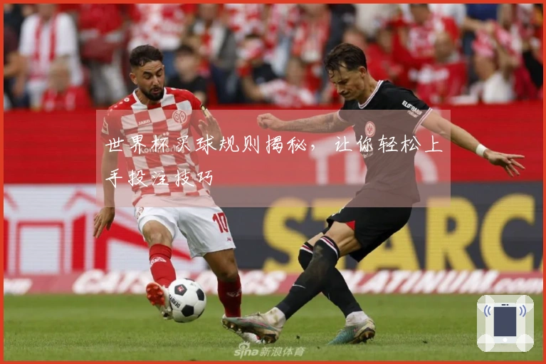 世界杯买球规则揭秘，让你轻松上手投注技巧