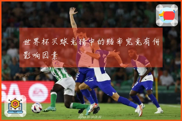 世界杯买球竞猜中的赔率究竟有何影响因素