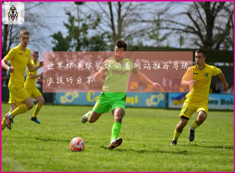世界杯滚球买球必看网站推荐与玩法技巧分享