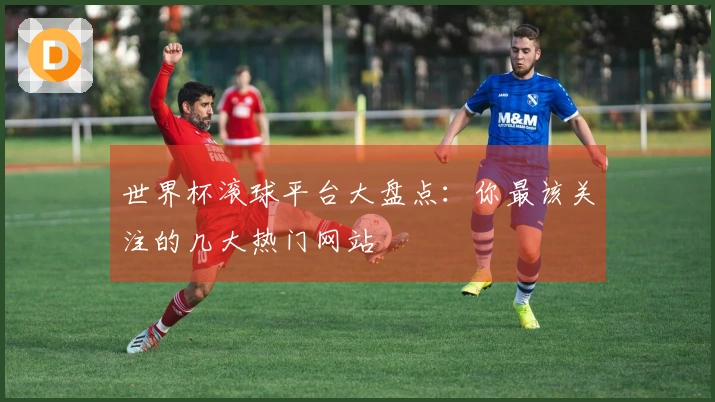 世界杯滚球平台大盘点：你最该关注的几大热门网站