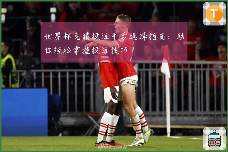 世界杯竞猜投注平台选择指南，助你轻松掌握投注技巧