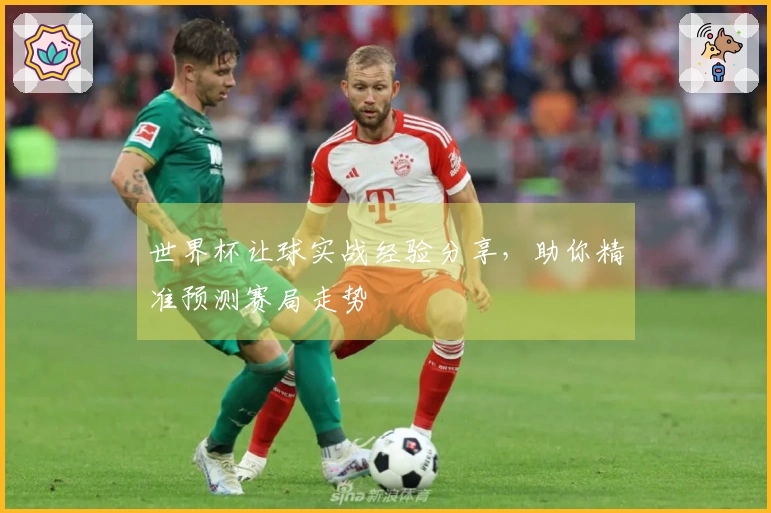 世界杯让球实战经验分享，助你精准预测赛局走势
