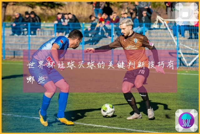 世界杯让球买球的关键判断技巧有哪些