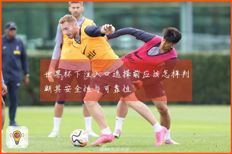 世界杯下注入口选择前应该怎样判断其安全性与可靠性