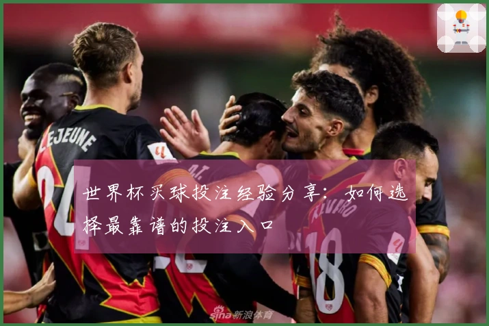 世界杯买球投注经验分享：如何选择最靠谱的投注入口